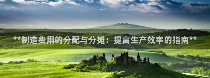 彩神正规吗：**制造费用的分配与分摊：提高生产效率的指南**