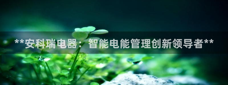 彩神ii官方网：**安科瑞电器：智能电能管理创新领导者**