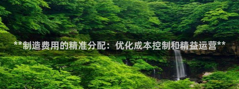 下载彩神争霸谁与我争锋：**制造费用的精准分配：优化成本控制和精益运营**