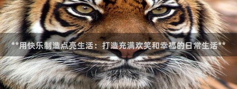 彩神可以提现吗：**用快乐制造点亮生活：打造充满欢笑和幸福的日常生活**