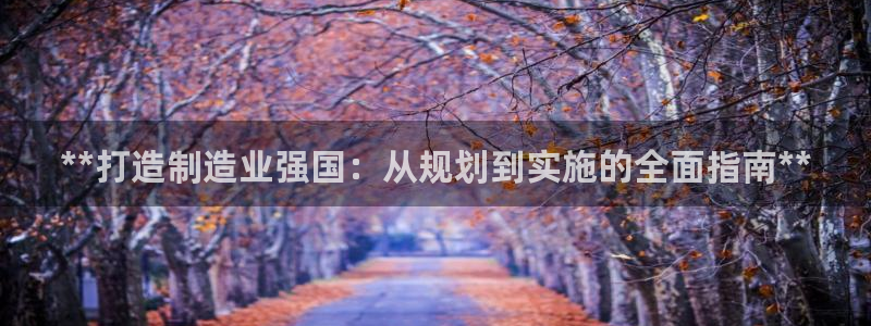 彩神平台注册登录：**打造制造业强国：从规划到实施的全面指南**