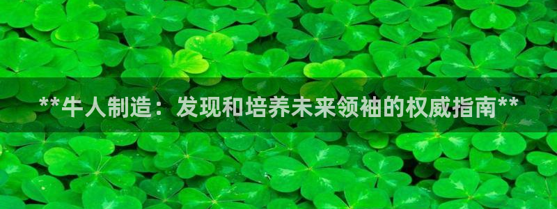 彩神平台：**牛人制造：发现和培养未来领袖的权威指南**