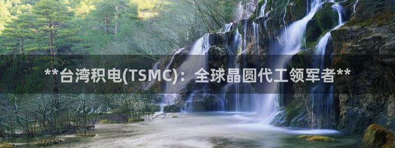 彩神数码科技有限公司：**台湾积电(TSMC)：全球晶圆代工