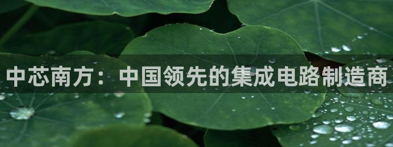 彩神vll首页企业文化