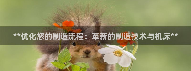 彩神vip购彩大厅：**优化您的制造流程：革新的制造技术与机