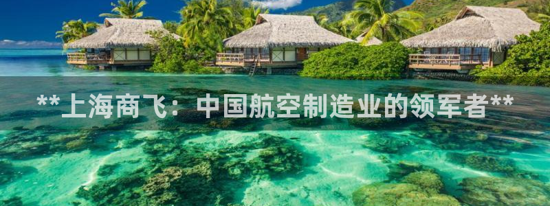 彩神购彩-购彩大厅入口下载：**上海商飞：中国航空制造业的领