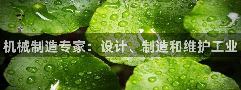 彩神系列平台：机械制造专家：设计、制造和维护工业