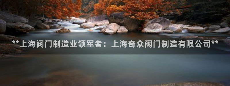 彩神8彩平台：**上海阀门制造业领军者：上海奇众阀门制造有限