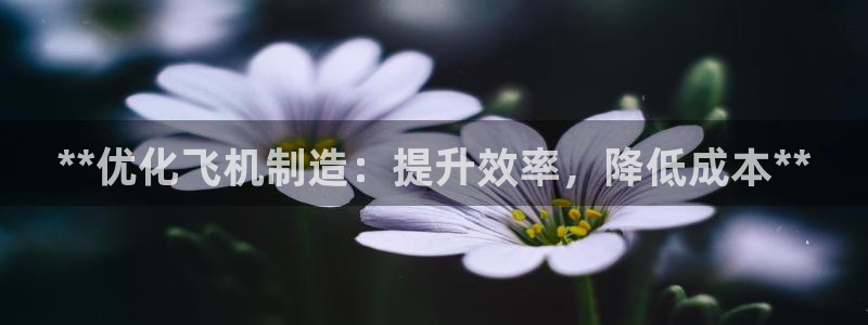 彩神v违法么：**优化飞机制造：提升效率，降低成本**