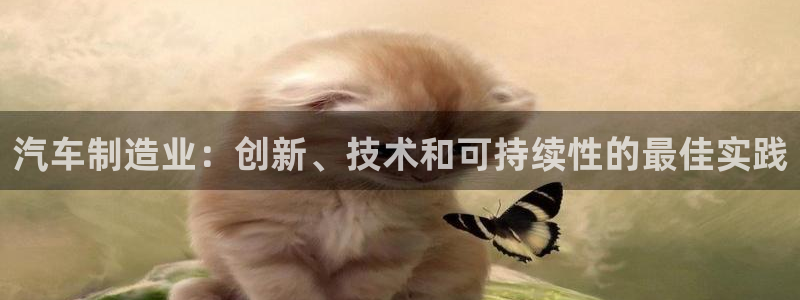 彩神购彩购彩大厅入口v：汽车制造业：创新、技术和可持续性的最佳实践