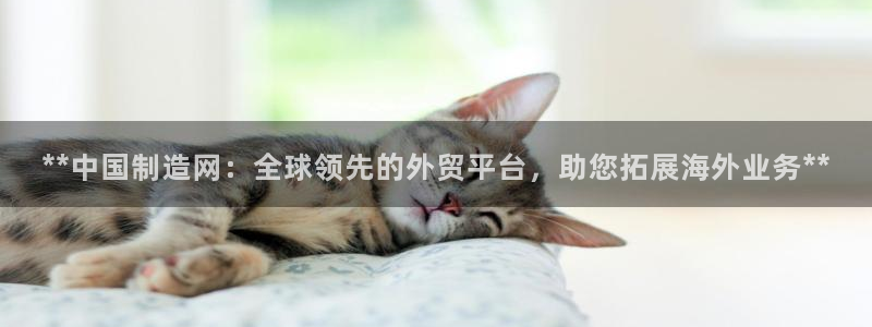 彩神旗下有哪些平台：**中国制造网：全球领先的外贸平台，助您拓展海外业务**