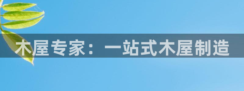 彩神VII购彩中心：木屋专家：一站式木屋制造