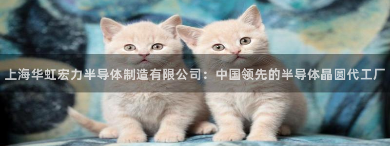 彩神ix官网：上海华虹宏力半导体制造有限公司：中国领先的半导体晶圆代工厂