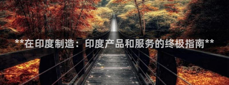 彩神网正规吗：**在印度制造：印度产品和服务的终极指南**