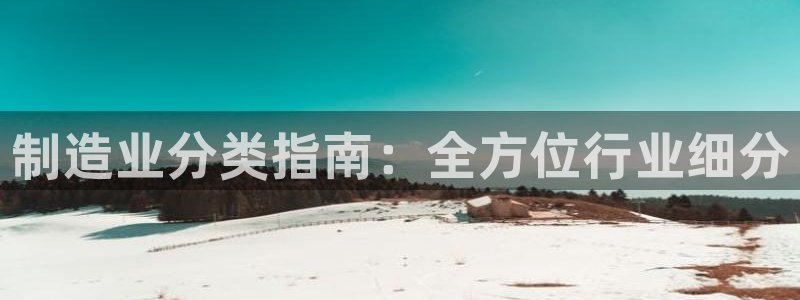 彩神V8有限公司：制造业分类指南：全方位行业细分