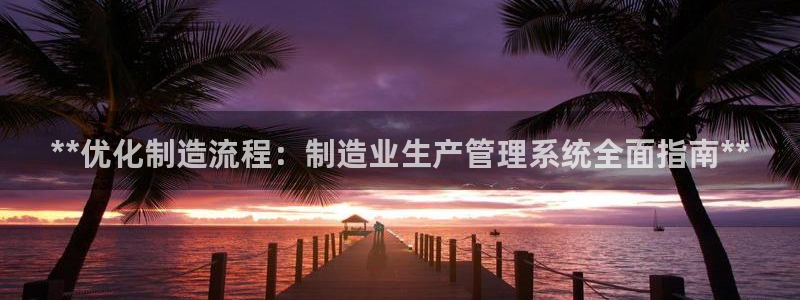 彩神ios下载：**优化制造流程：制造业生产管理系统全面指南