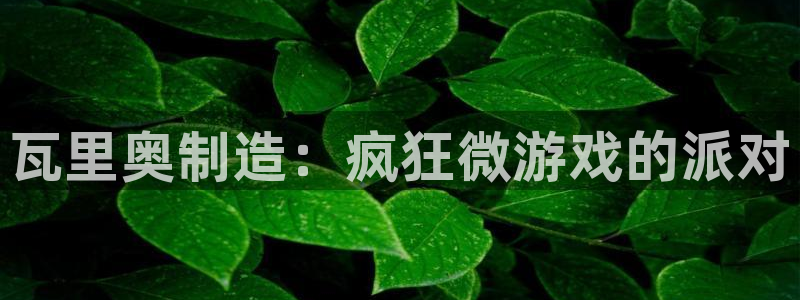 彩神购彩-购彩大厅入口500：瓦里奥制造：疯狂微游戏的派对