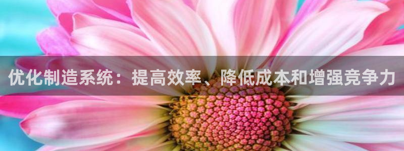 彩神v集团有限公司：优化制造系统：提高效率、降低成本和增强竞
