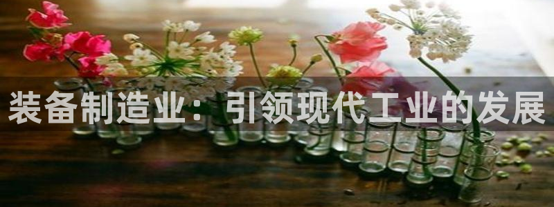 彩神8是正规平台吗安全吗：装备制造业：引领现代工业的发展