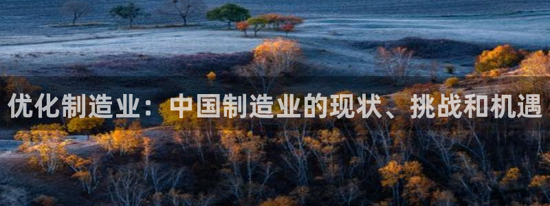 彩神vllⅰ购彩大厅：优化制造业：中国制造业的现状、挑战和机