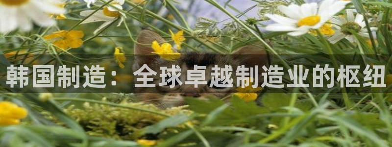 新版彩神v8登录教程：韩国制造：全球卓越制造业的枢纽