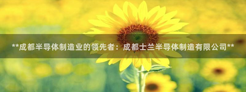 彩神购彩-购彩大厅入口计划群：**成都半导体制造业的领先者：成都士兰半导体制造有限公司**
