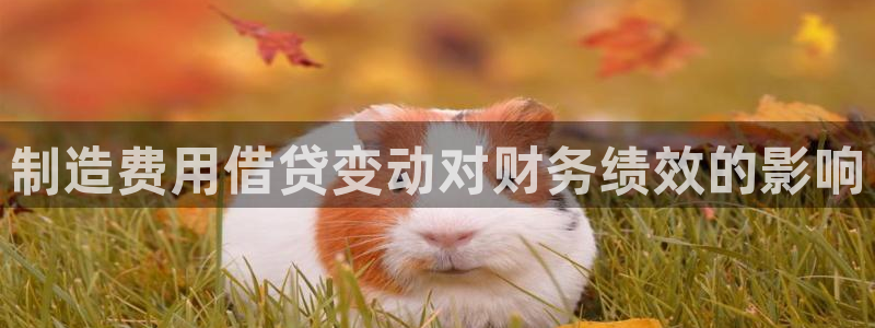 彩神网可以赚钱是真的吗