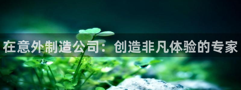 彩神8是正规平台吗安全吗：在意外制造公司：创造非凡体验的专家