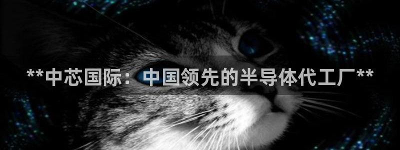 彩神购彩-购彩大厅入口娱乐首选：**中芯国际：中国领先的半导体代工厂**