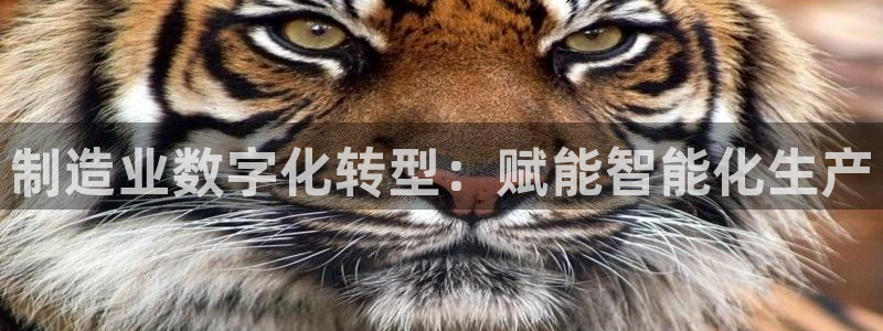 彩神8彩平台官网：制造业数字化转型：赋能智能化生产