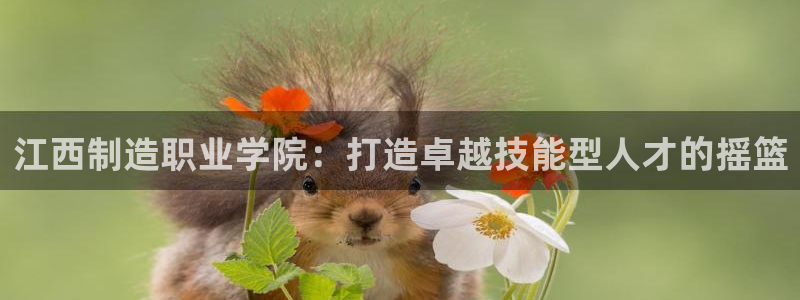 彩神通官方网