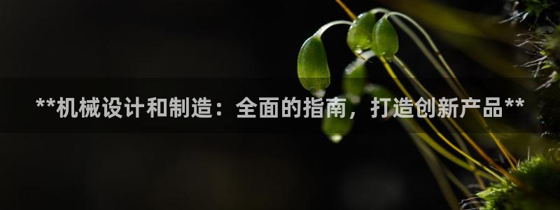 彩神是正规平台吗安全吗
