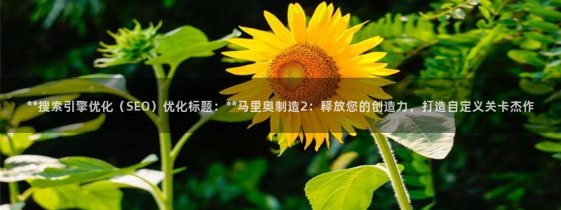 彩神vl购彩大厅