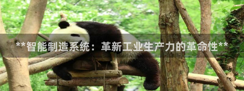 有谁知道彩神争霸的网址：**智能制造系统：革新工业生产力的革