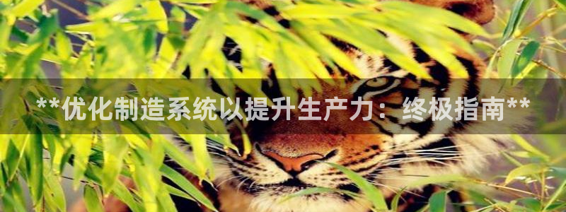 彩神ⅴll是什么样平台：**优化制造系统以提升生产力：终极指南**
