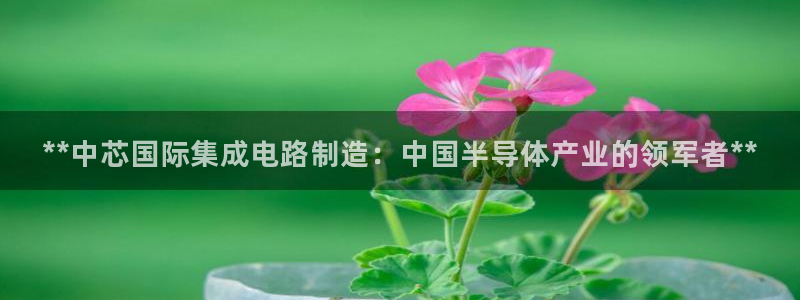 彩神系列平台：**中芯国际集成电路制造：中国半导体产业的领军者**
