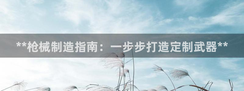 新版彩神v8登录不了：**枪械制造指南：一步步打造定制武器*