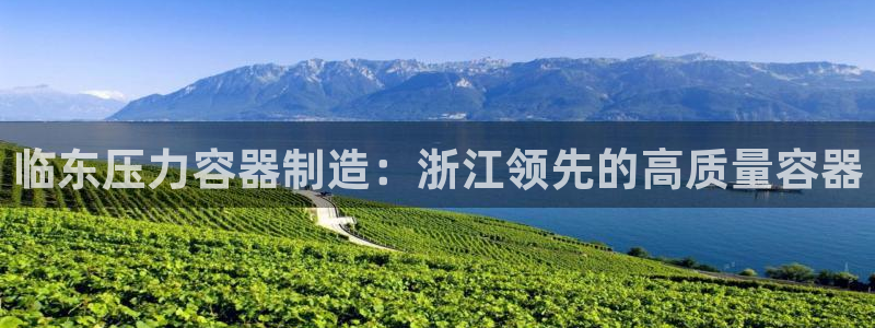 彩神V3大赢家：临东压力容器制造：浙江领先的高质量容器
