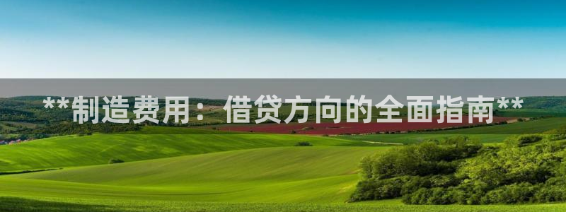 彩神viii是正规平台吗?：**制造费用：借贷方向的全面指南