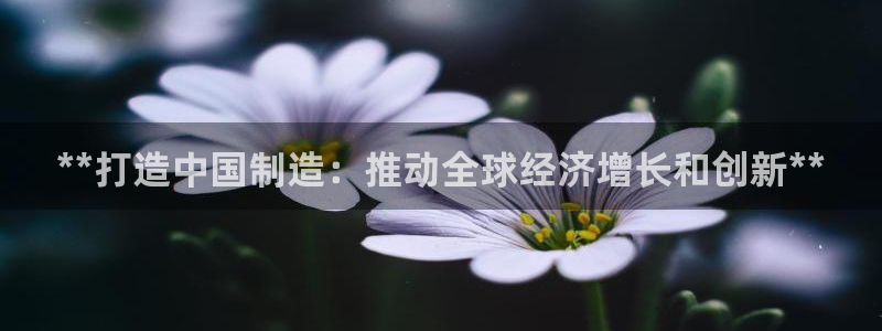 下载彩神乐发V：**打造中国制造：推动全球经济增长和创新**