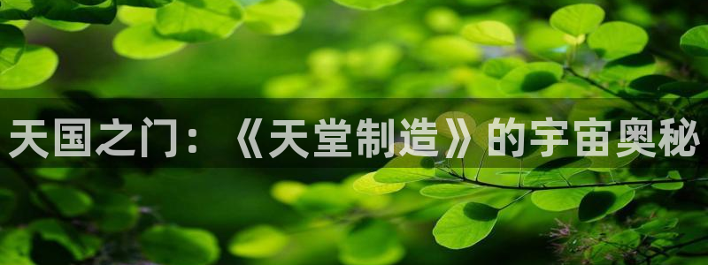 彩神购彩-购彩大厅入口计划群