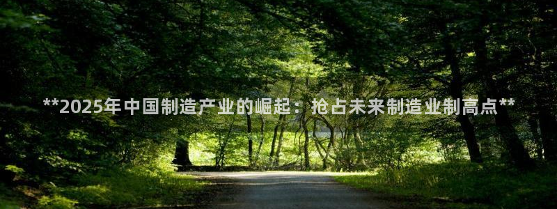 所有彩神购买首页中心：**2025年中国制造产业的崛起：抢占未来制造业制高点**