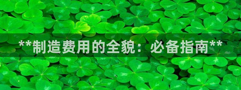 彩神V3大赢家：**制造费用的全貌：必备指南**
