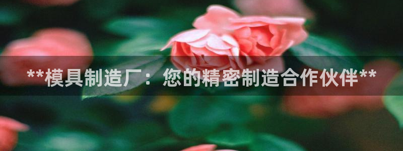 彩神v8下载app5.0：**模具制造厂：您的精密制造合作伙