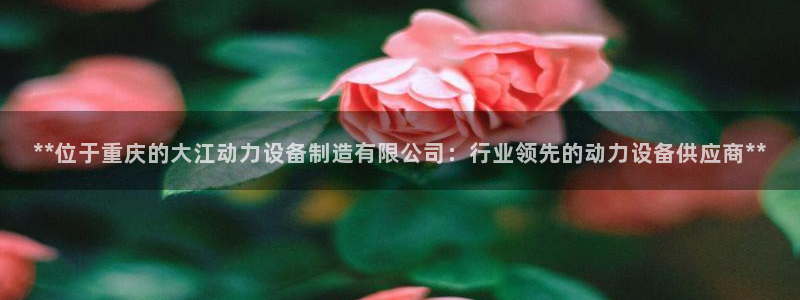 彩神vii购彩l心：**位于重庆的大江动力设备制造有限公司：