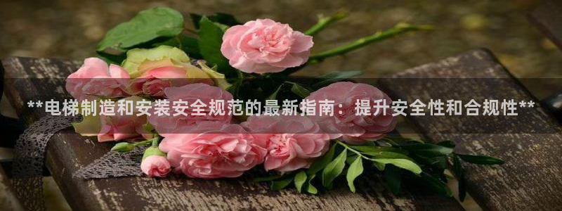 彩神ii官方网：**电梯制造和安装安全规范的最新指南：提升安全性和合规性**