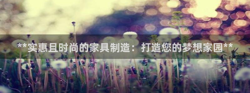 彩神v违法么：**实惠且时尚的家具制造：打造您的梦想家园**