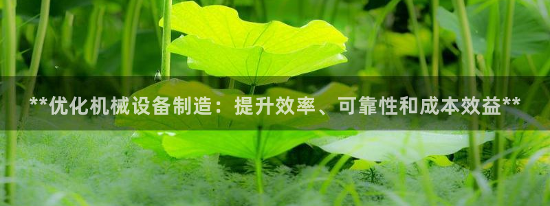 彩神购彩-购彩大厅入口：**优化机械设备制造：提升效率、可靠