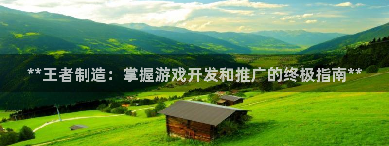 所有彩神购买首页都一样吗：**王者制造：掌握游戏开发和推广的终极指南**