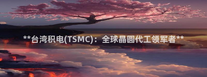 彩神vll首页：**台湾积电(TSMC)：全球晶圆代工领军者**